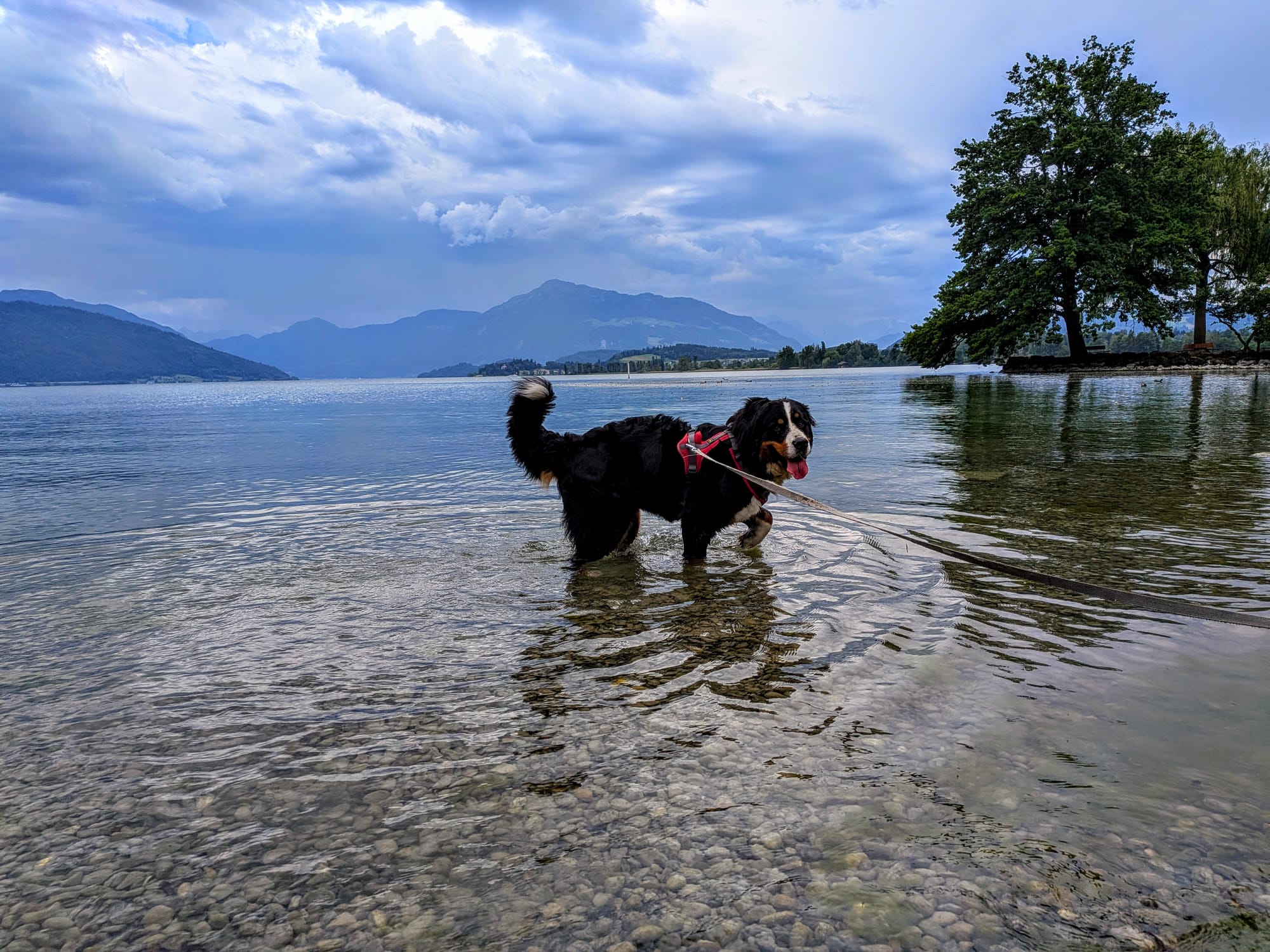 Cooling in the water