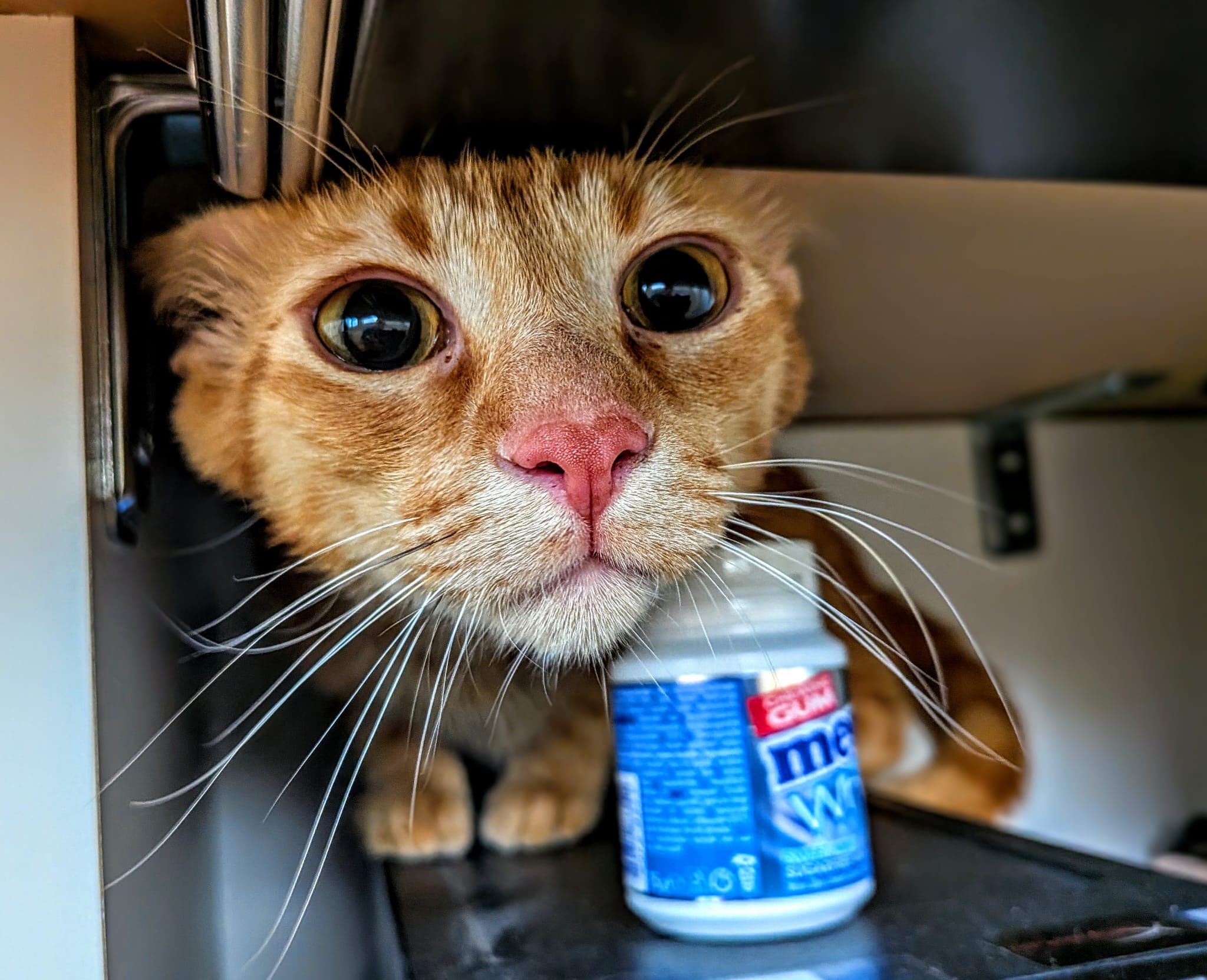 Here, by the PC, nobody can find me